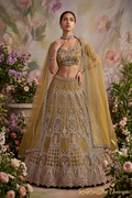 Golden Olive Lehenga Choli zonder nummer