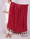 Tussar Silk Bandhani Patola Dupatta - Karmijnrood
