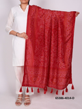 Tussar Silk Bandhani Patola Dupatta - Rood Bandhani