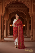 Luxe dieprode ikat ster geometrisch dupatta Mughal paleis editorial RaRouSha